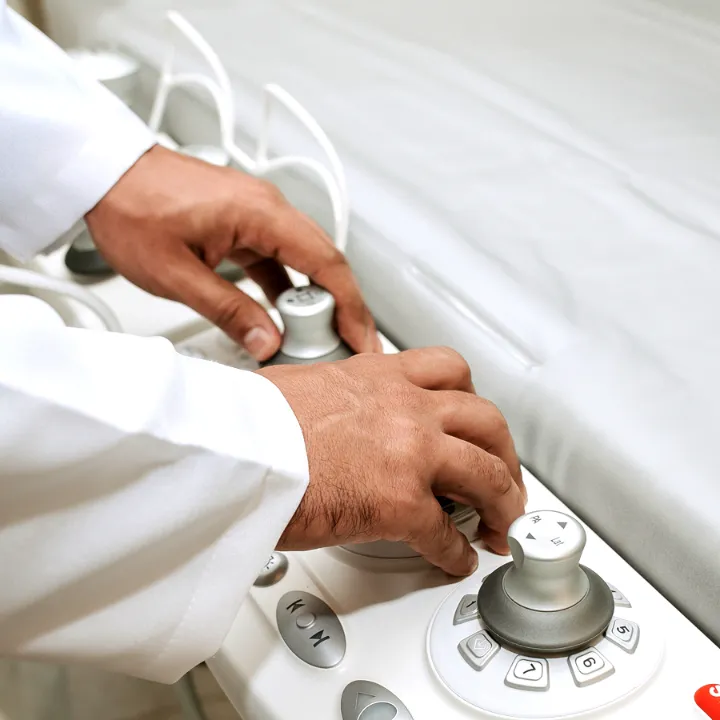 Procedimentos Realizados